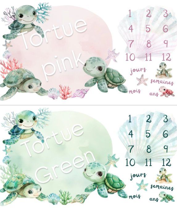 Couverture étape tortue exclusif